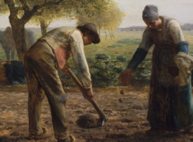 Man and woman sowing a field